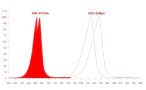Light spectrum dual chip