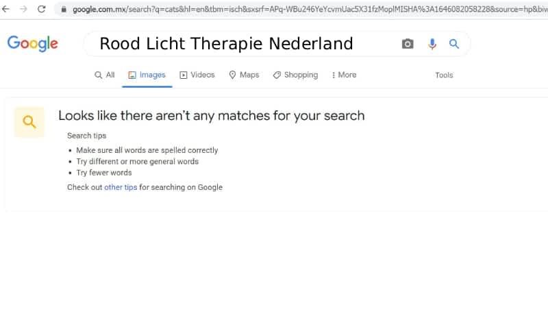 google no results about page